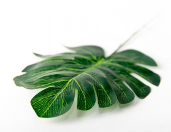 Искусственные цветы, Ветка - лист монстеры для венка (1010237) зеленый