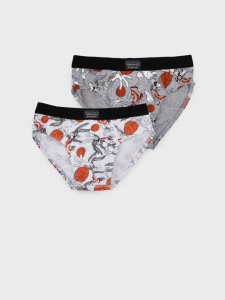 Трусы- брифы для мальчика, 2 шт в комплекте