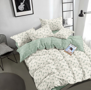 Комплект постельного белья Зима-Лето Летняя мелодия поплин