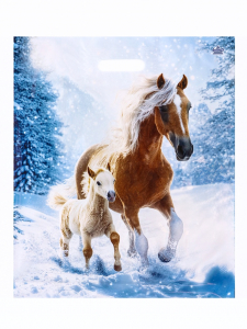 Пакет подарочный, новогодний «Дуэт», полиэтиленовый с вырубной ручкой, л 45?38 см, 60 мкм