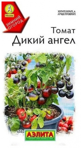 Томат Дикий Ангел Аэлита