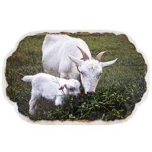 Подставка под горячее (панно) 