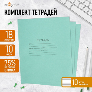 Набор тетрадей 18 листов в линейку «Зелёная обложка», серые листы, 10 штук