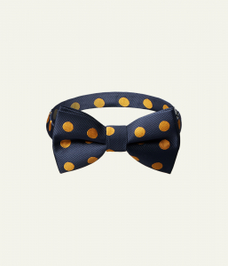 BOYS bow/ Галстук-бабочка детский/AW23TKB048