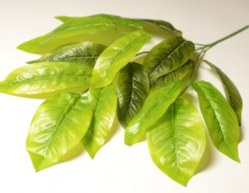 Искусственные цветы, Ветка кустовая манго 15 л.(1010237) зеленый