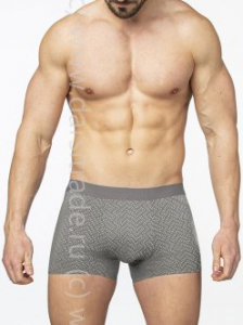 SG2925-3 Трусы мужские Sergio Dallini Дроп боксеры
