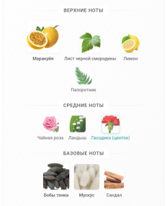 TIZIANA TERENZI CASSIOPEA 100ml parfume