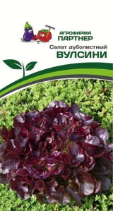 3155P Салат дуболистный ВУЛСИНИ 15 шт