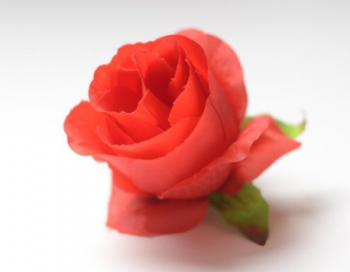 Искусственные цветы, Голова бутона розы (D-70mm) для ветки, венка