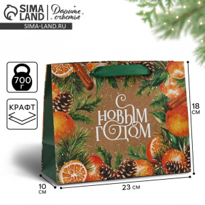 Пакет подарочный новогодний крафтовый «С Новым годом», MS 18?23?10 см