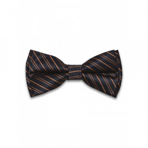 Бабочка Tsarevich 66