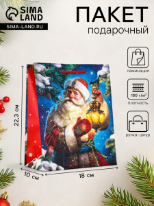 Пакет подарочный новогодний ламинированный, «Дед Мороз», 18?10?22.3 см