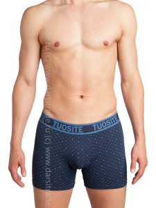 TS7822-2 Трусы мужские Дроп Tousite боксеры