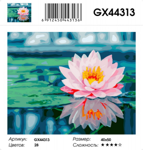 GX 44313