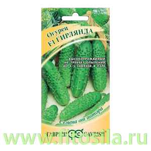 Огурец Гирлянда F1 10 шт. автор. (семена для проращивания)