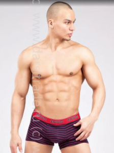 Трусы мужские R123 Opium боксеры