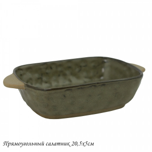 205-438 Прямоугольный салатник 20,5х5см МИСТРАЛЬ в под.уп.(х36)Фарфор