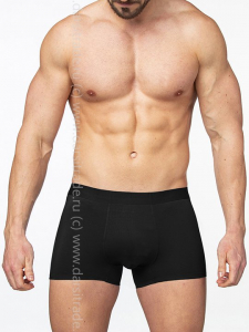 SG2922-1 Трусы мужские Sergio Dallini Дроп боксеры