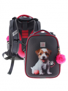 Рюкзак каркасный, школьный, 38?30?16 см, эргономичная спинка «Щенок»