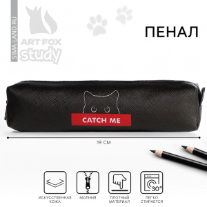 Пенал школьный из искусственной кожи «Кот», 19?8?3 см