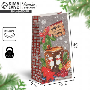 Пакет подарочный без ручек новогодний «Кому?то ну очень хорошему», 10?19.5?7 см