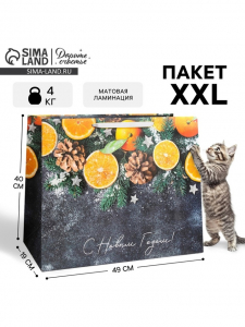 Пакет подарочный новогодний ламинированный «С Новым годом», XL 49?40?19 см