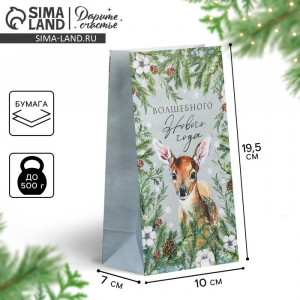 Пакет подарочный без ручек «Волшебного Нового года», 10?19.5?7 см