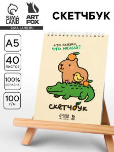 Скетчбук А5, 40 л. 100 г/м? «Кто сказал, что нельзя?»