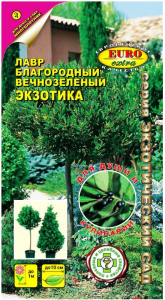 Лавр Экзотика вечнозеленый Аэлита