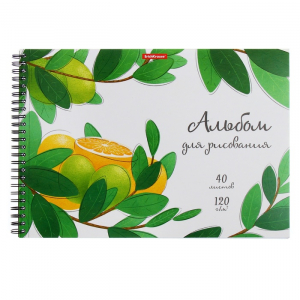 Альбом для рисования А4, 40 листов на спирали, ErichKrause Juicy Fruits, плотность 120 г/м?, микроперфорация для отрыва