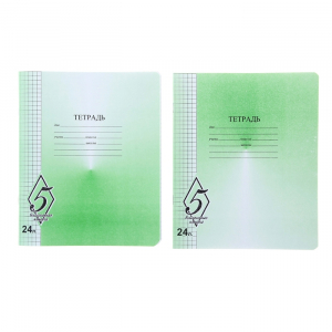 Тетрадь 24 листа клетка «Великолепная пятёрка», бумажная обложка, МИКС