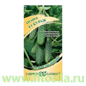 Огурец Кураж F1 10 шт. автор. (семена для проращивания)