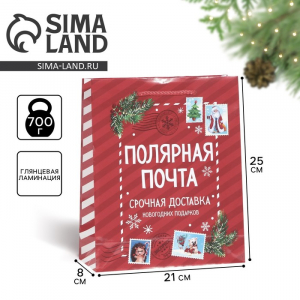 Пакет подарочный новогодний ламинированный «Полярная почта», ML 21?25?8 см