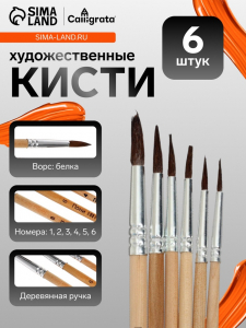 Кисти для рисования, белка, 6 штук: № 1, 2, 3, 4, 5, 6, круглые, деревянная ручка, международный размер