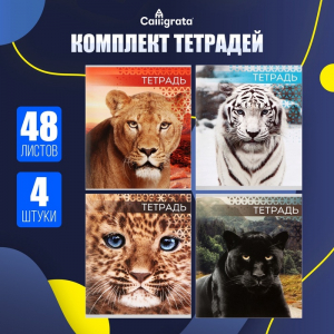 Тетради 4 штук, 48 листов в линейку «Дикие кошки», серые листы