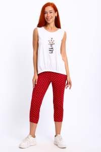 Костюм с бриджами 