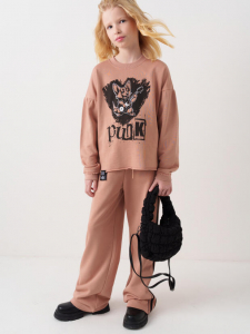 Комплект для девочки: толстовка, брюки