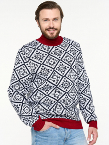 Джемпер мужской 5232-12362