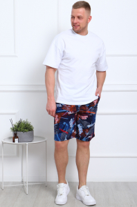 Шорты мужские 