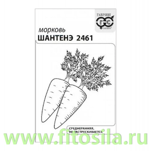 Морковь Шантенэ 2461 2 г б/п с евроотв. (семена для проращивания)
