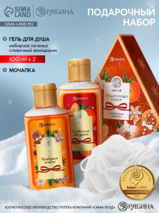 Подарочный набор новогодний: гель для душа 2 шт. ? 100 мл, мочалка для тела, аромат мандарин и тыква, URAL LAB