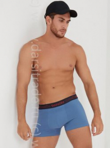 TS4402-5 Трусы мужские Tousite Дроп боксеры