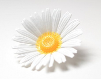 Искусственные цветы, Голова ромашки пластиковая для ветки, венка белый