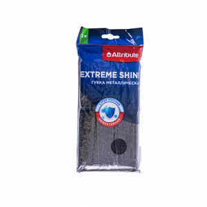 Губка EXTREME SHINE металлическая 2шт