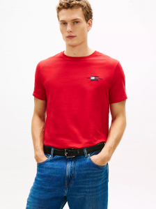 Flag Graphic Logo T-Shirt