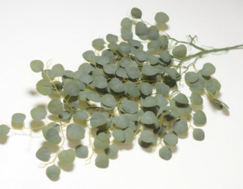 Искусственные цветы, Ветка зелени эвкалипт свисающий (1010237) зеленый