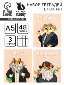 Тетради предметные, 48 л., А5, набор из 3 шт. «КОТэ»