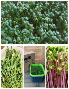 Набор Три урожая