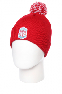 Шапка Zetta F-61