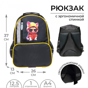 Рюкзак школьный, 37?26?13 см, эргономичная спинка, «Крутой кот»